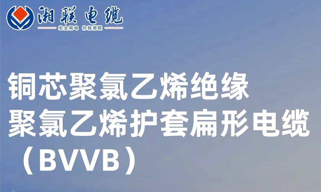 國標認證，品質保障 | 一文解析BVVB（銅芯聚氯乙烯絕緣聚氯乙烯護套扁形電纜）