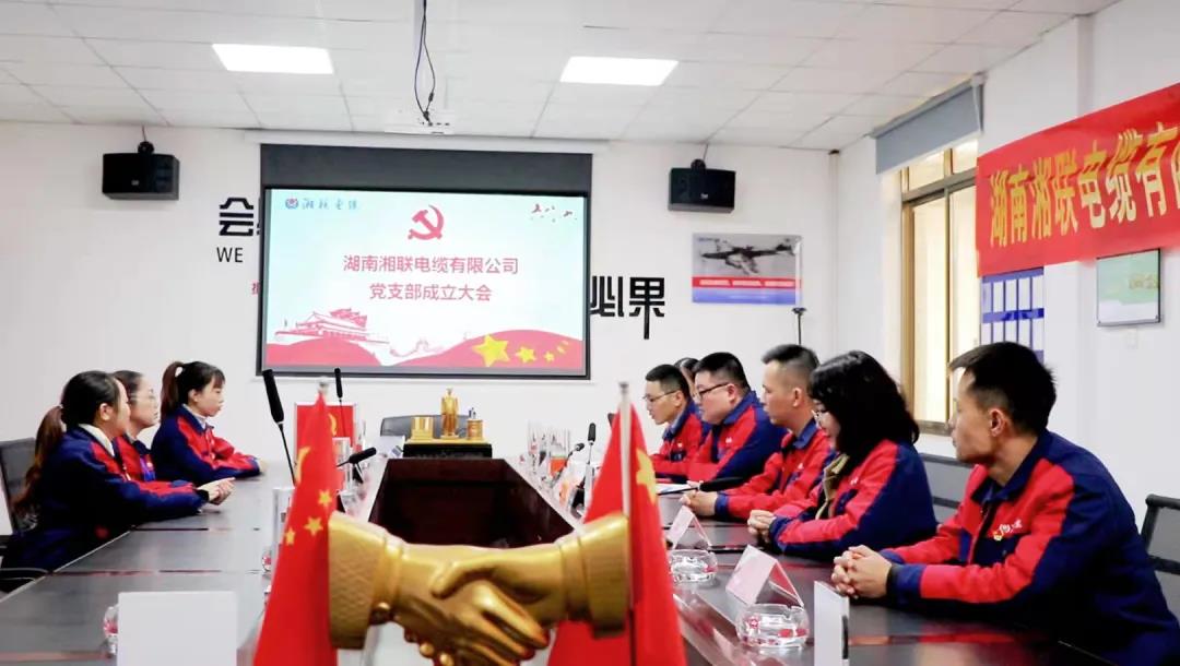新征程 | 熱烈祝賀湖南湘聯(lián)電纜有限公司黨支部正式成立！